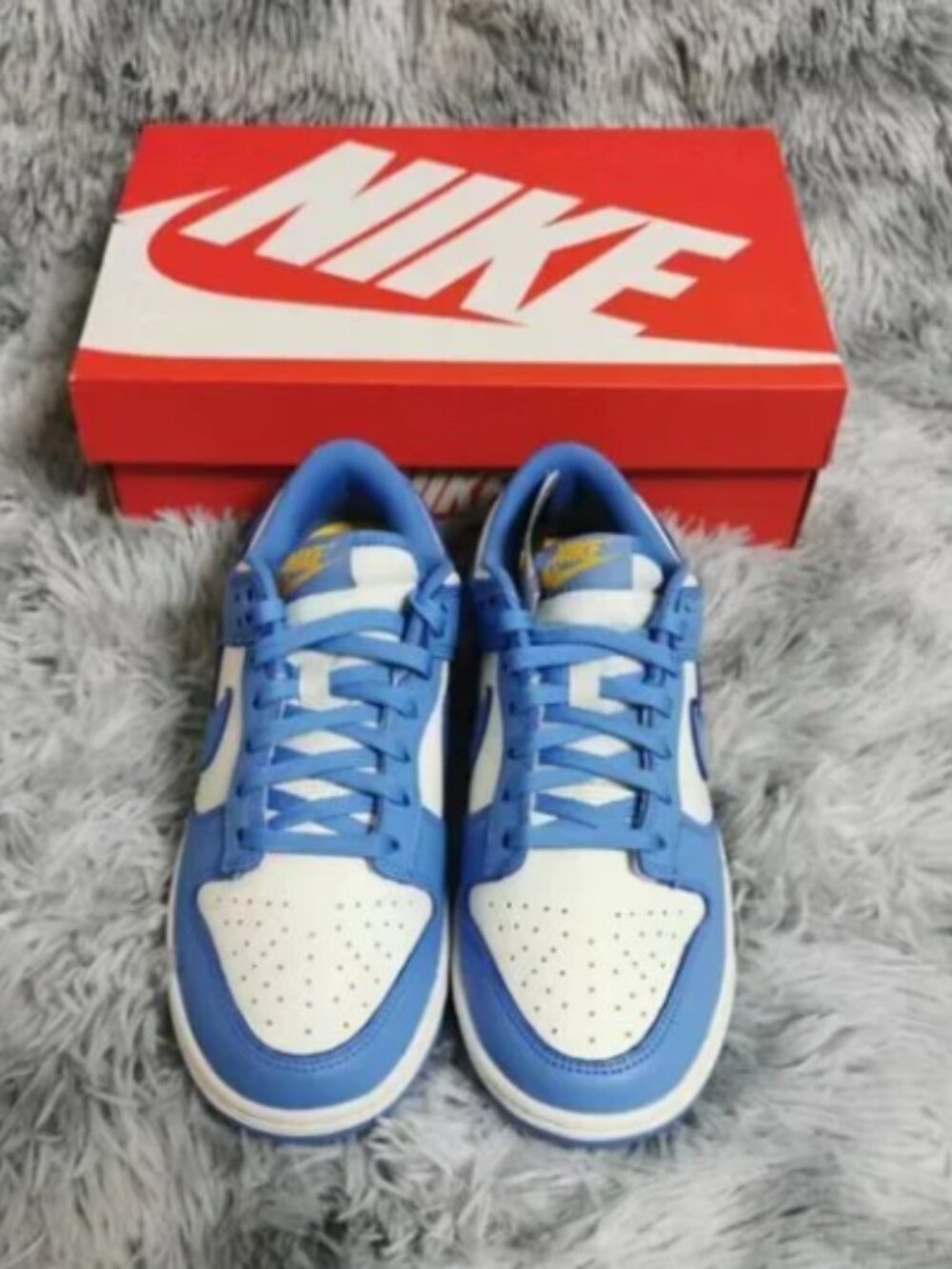 New Nike Dunk Low Coast UNC